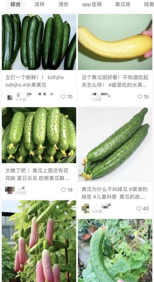 黄瓜的爆料视频在哪看,揭秘热门视频观看途径 第1张 黄瓜的爆料视频在哪看,揭秘热门视频观看途径 第1张