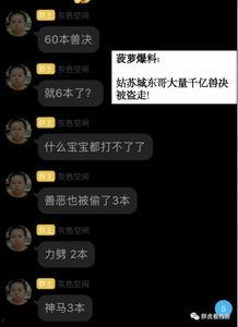东哥爆料视频素材,幕后真相大曝光